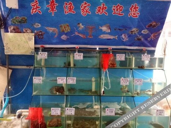 Жичжао: Qingzhang Yujia