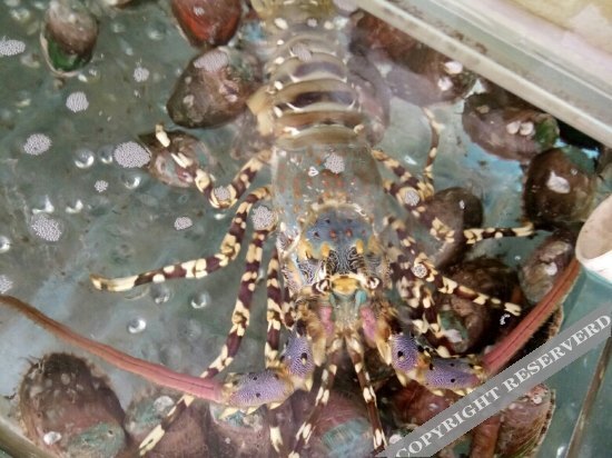 carousel image 5