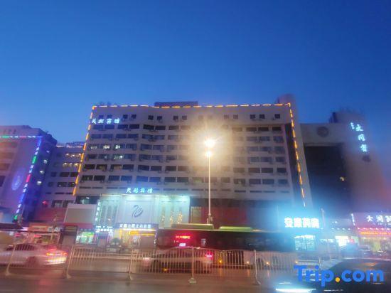 Чжэнчжоу: Swan Theme Culture Hotel (Zhengzhou Railway Station East Plaza Branch)