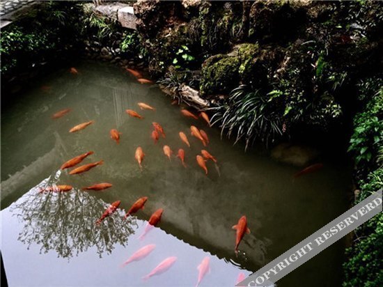 Хуаншань: Jushantang Inn