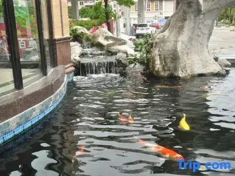 Бэйхай: Bless Hotel (Beihai RT-Mart High-speed Railway Station)