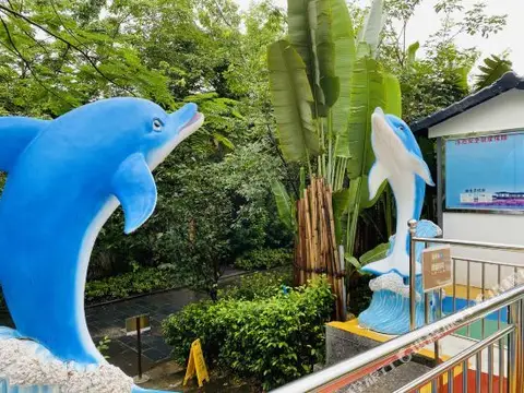 carousel image 5