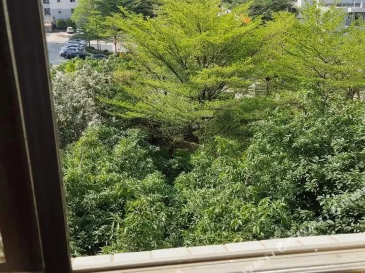 Шэньчжэнь: Yongcheng Boutique Hotel