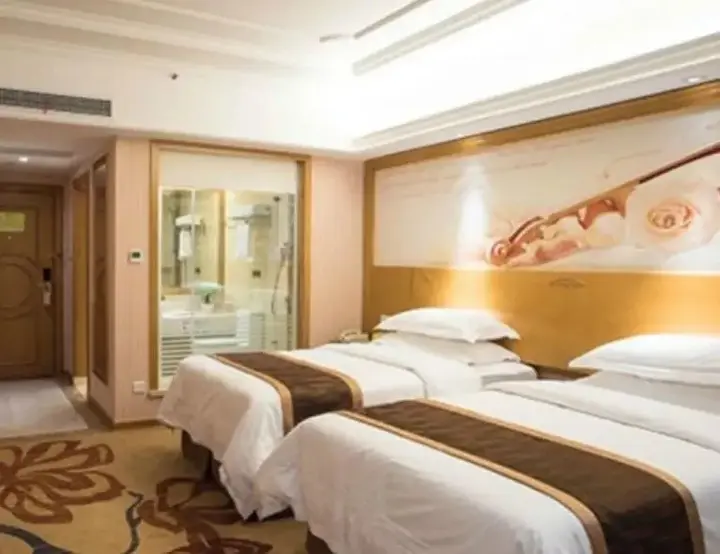Шэньчжэнь: Vienna International Hotel