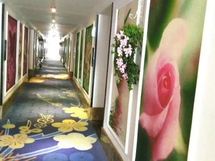 Шаоксинг: Gelin Fashion Hotel