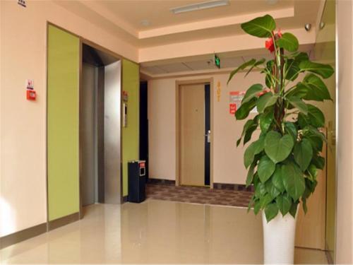 Цзинин: Grace Inn Jining Administrative Approval Center Branch