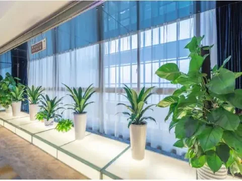 Чанша: Yijia Hotel (Changsha Ligu Litang Metro Station)