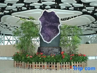 Ляньюньган: Kangyuan Ginkgo Ecological Hotel
