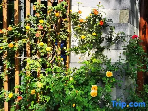 Сичан: Yimi Sunshine Boutique Hotel (Xichang Qionghai Wetland Park)