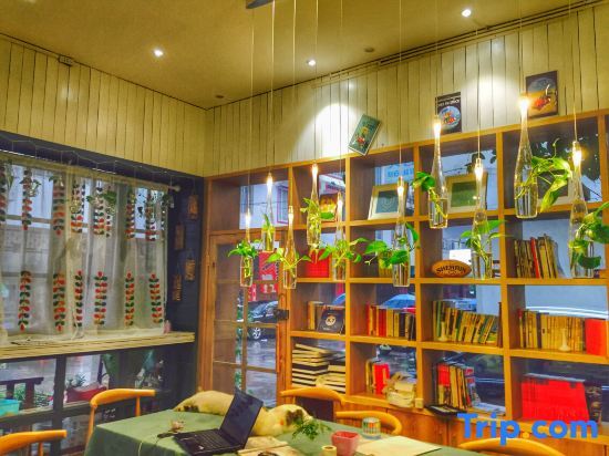 Яншо: Xiyu Hostel · Cat Café