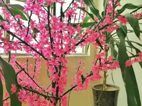 Шэньчжэнь: Taixin Hotel
