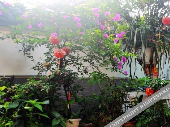 Чэнду: Pinglexue Shuangyuan Hostel