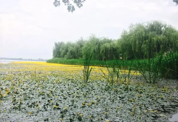 Сичан: Luojiaodian Inn