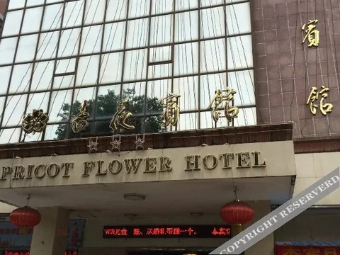 Чжаоцин: Apricot Flower Hotel