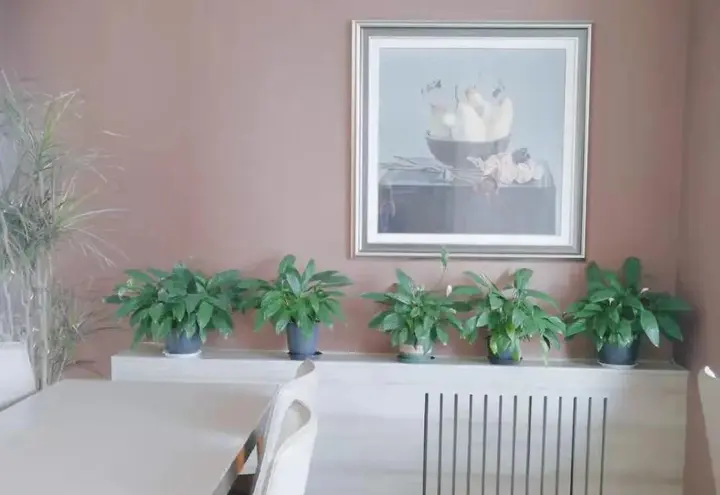 Иньчуань: Ningxia Ningdong Fangjian Hotel