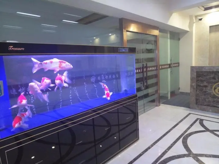 Харбин: Harbin Shangyi Express Hotel