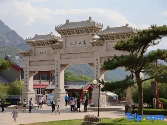 Чжэнчжоу: Dengfeng elements hotel