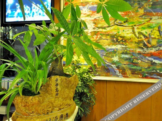 Чанша: Wanji Times Hotel (Changsha AUX Plaza)
