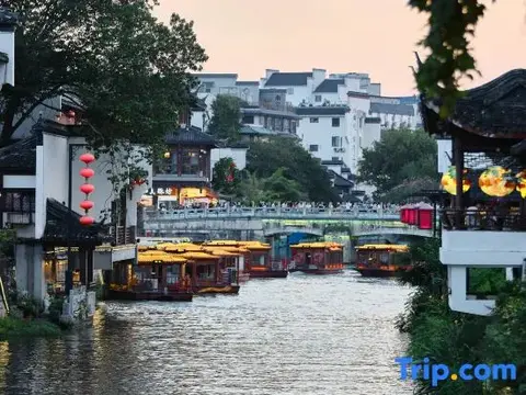 Нанкин: Nanjing family