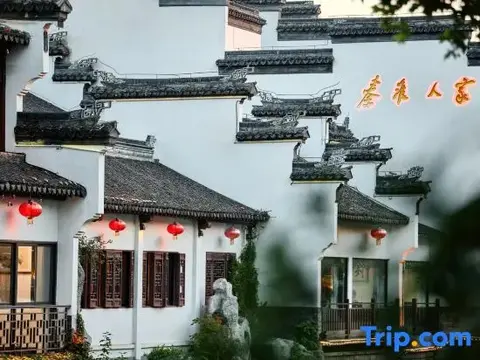 Нанкин: Nanjing family