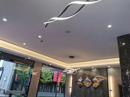 Ханчжоу: shizhiyi themed hotel