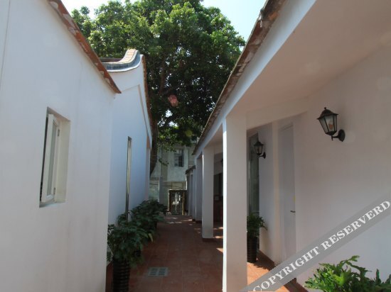 Сямынь: Long Time No See Tea House Home Stay