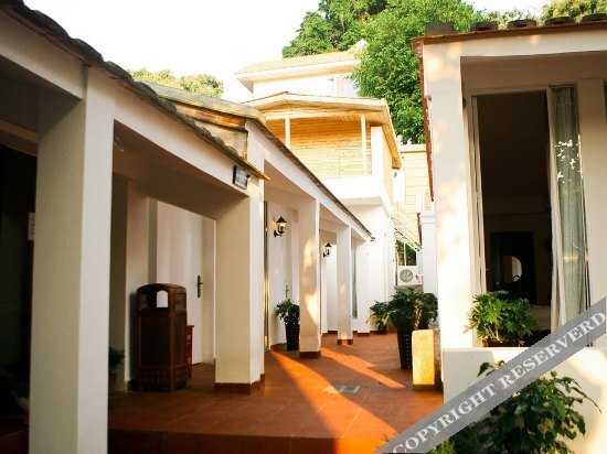 Сямынь: Long Time No See Tea House Home Stay