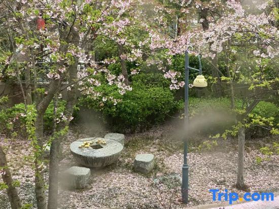Циндао: Baden Town Hot Spring Villa