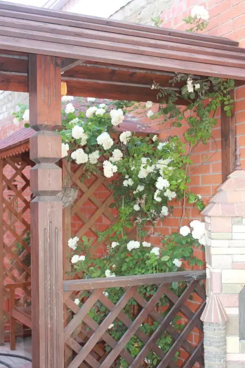 Голубицкая: Poseydon Guest House