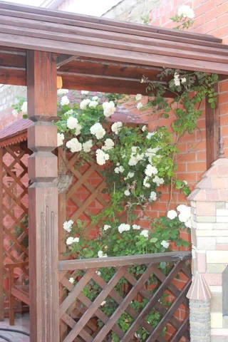 Голубицкая: Poseydon Guest House