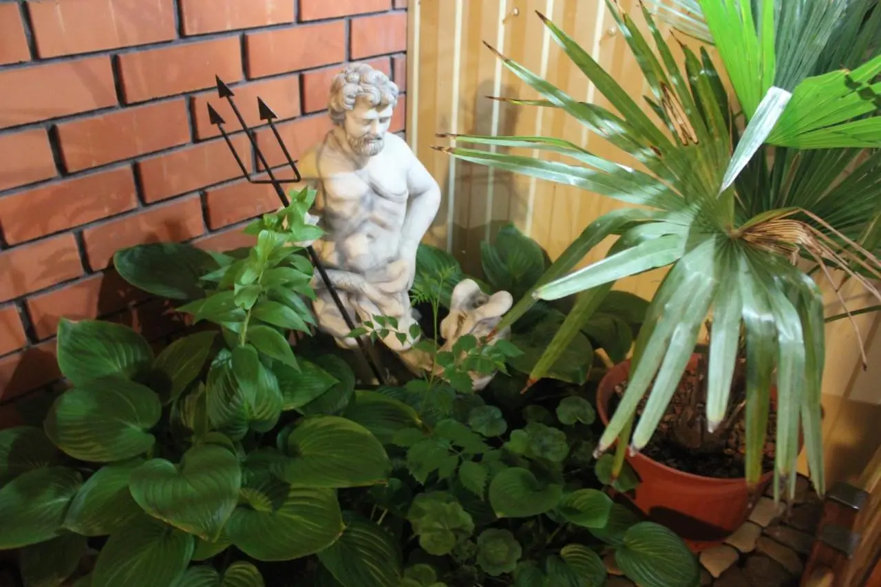 Голубицкая: Poseydon Guest House
