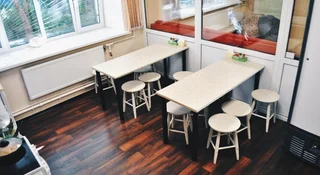Зеленогорск: Clever Hostel