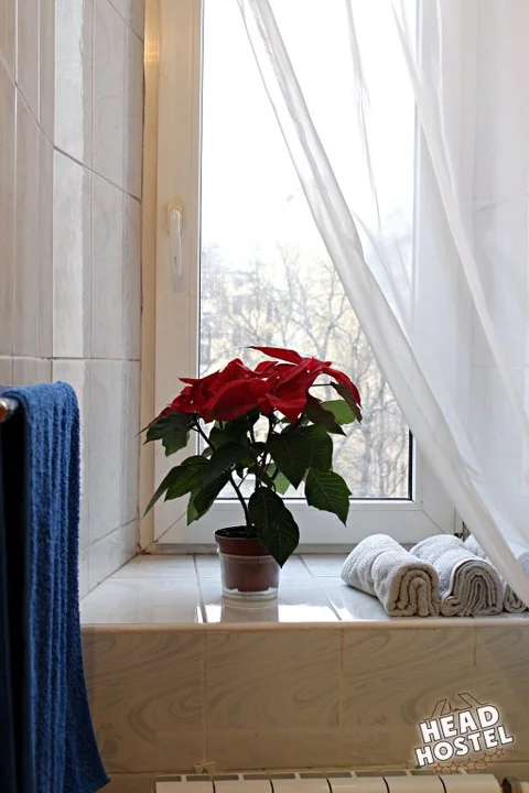 Санкт-Петербург: Head Hostel