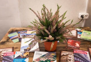 Санкт-Петербург: Hostel Samovar