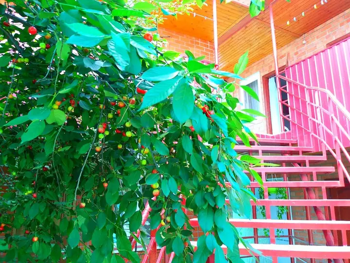 Ейск: U Azovskovo Morya Mini-hotel