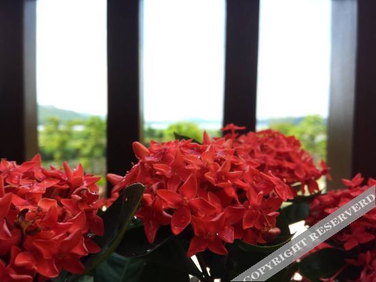 Хойчжоу: Shangliang Hostel