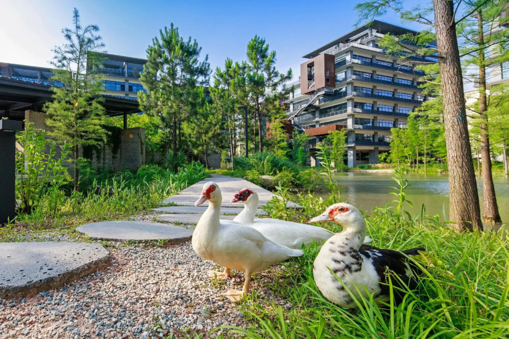 Шэньчжэнь: Taihua Wutong Hotel