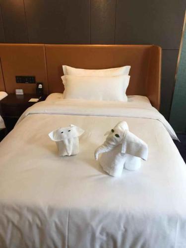 Синьсян: Yun Song Hotel