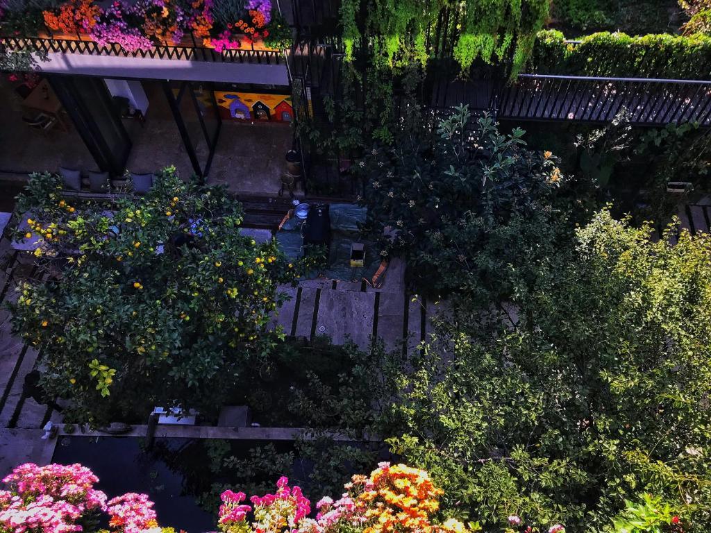Дали: The Dali Commune