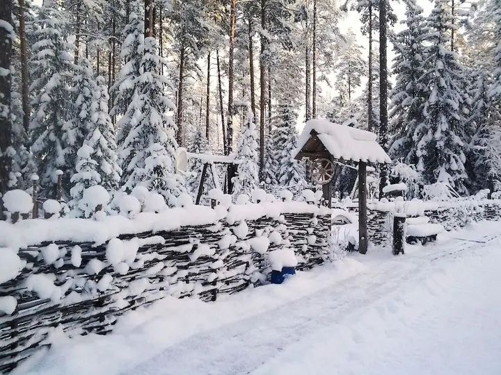 Отель «Шишки на Лампушке — Русская деревня» — фото 4