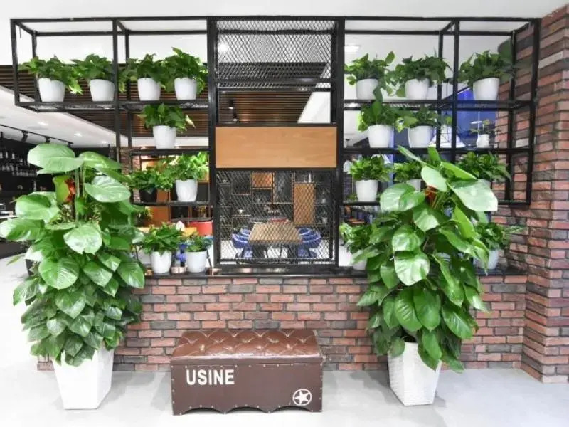 Жичжао: GreenTree Inn Rizhao Lanshan Bus Station