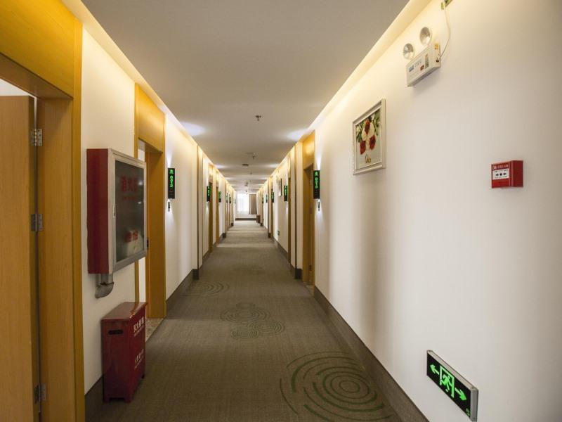 Хандань: GreenTree Inn Handan Wei County Xianbiao