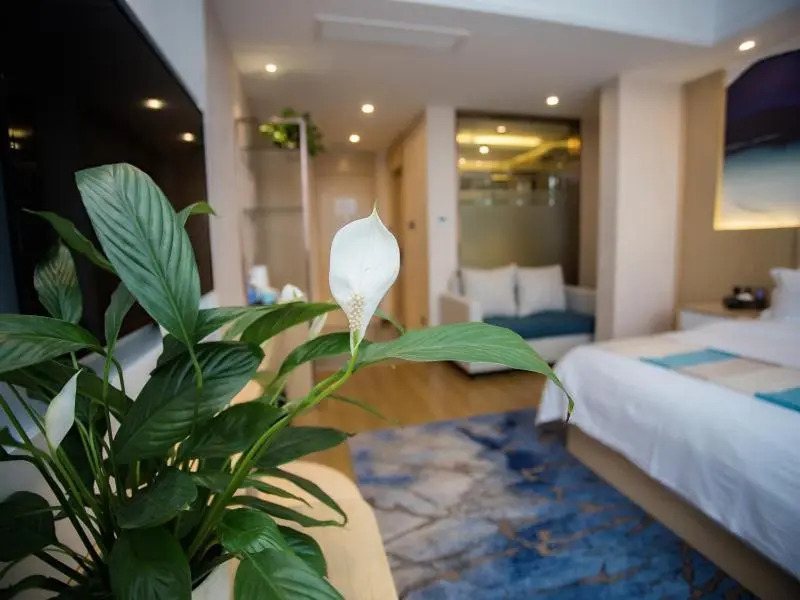 Хецзе: VX Hotel Heze Dingtao District Taoyi Road