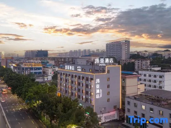 Наньнин: VX Hotel Nanning Wuyi Overpass Polytechnic College