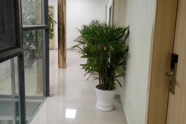 Чунцин: Young Mini Hotel Chongqing Youyang City North Bus Station
