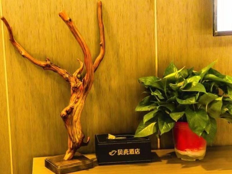 Наньян: Shell Hotel Nanyang High-Speed Railway Station Jiangying Airport Huayaocheng