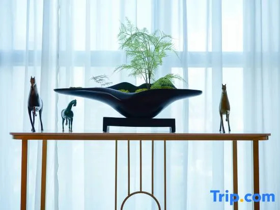 Синин: Changjiang Guangdong International Hotel