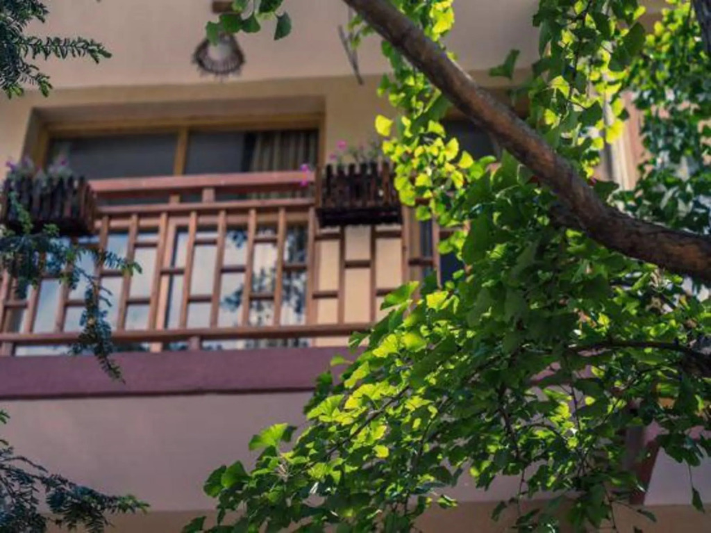 Ханчжоу: Shedeju Hostel
