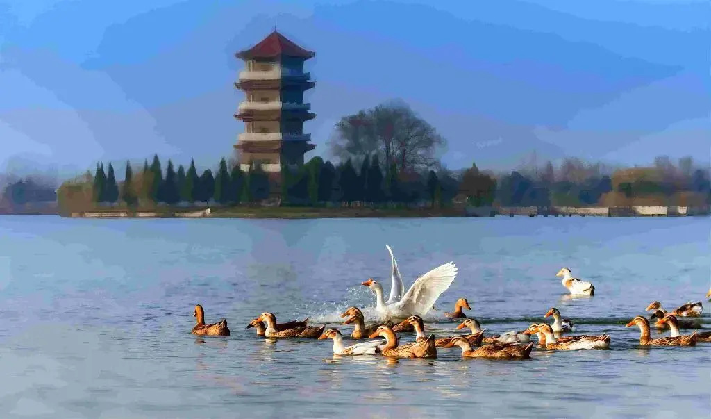 Фуян: Holiday Inn Fuyang