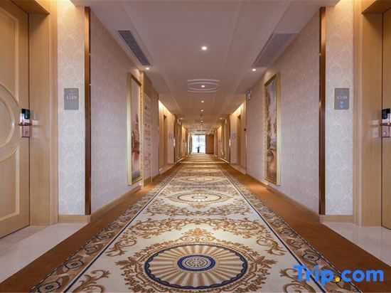 Наньнин: Vienna International Hotel (Nanning Langxi Metro Station)